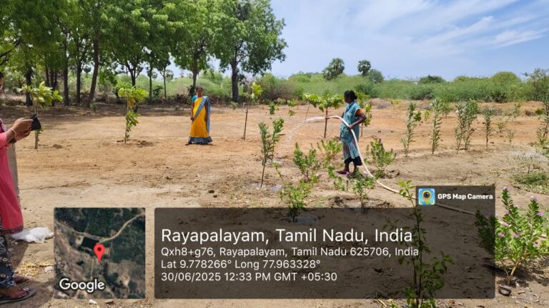 Rayapalayam Tree Plantation 2